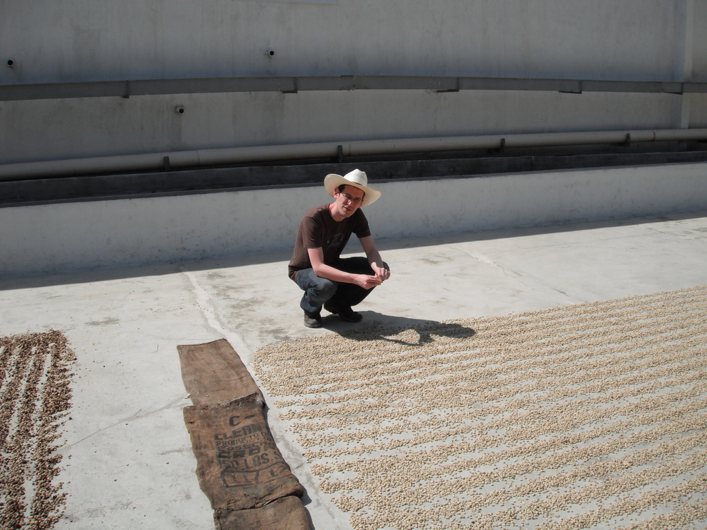 Jaime checking out drying coffee on the patio at Buena Esperanza in 2012.