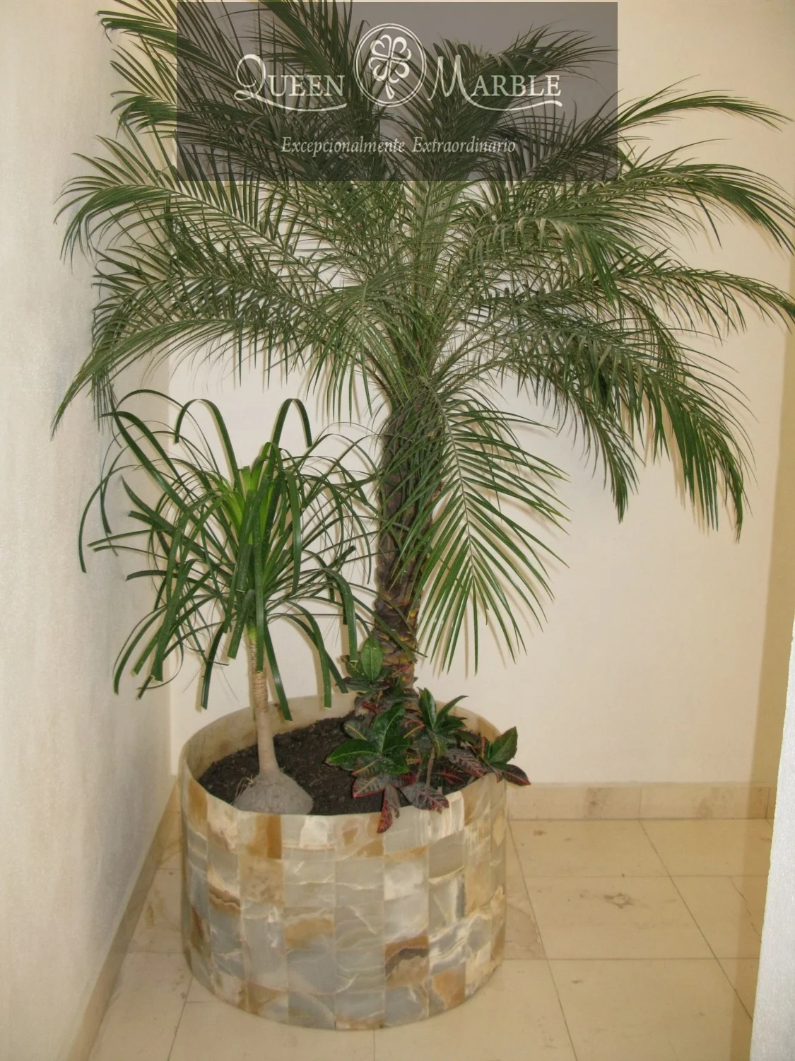 Imagen285.jpg