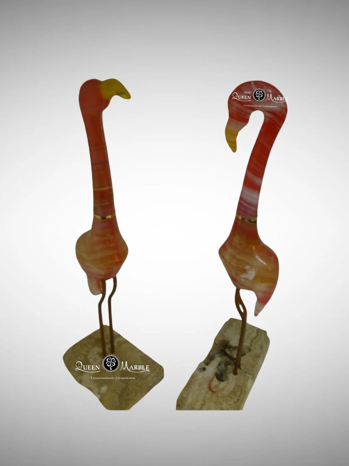 WhatsApp Image 2021-09-14 at 11.06.31 AM (1).jpeg