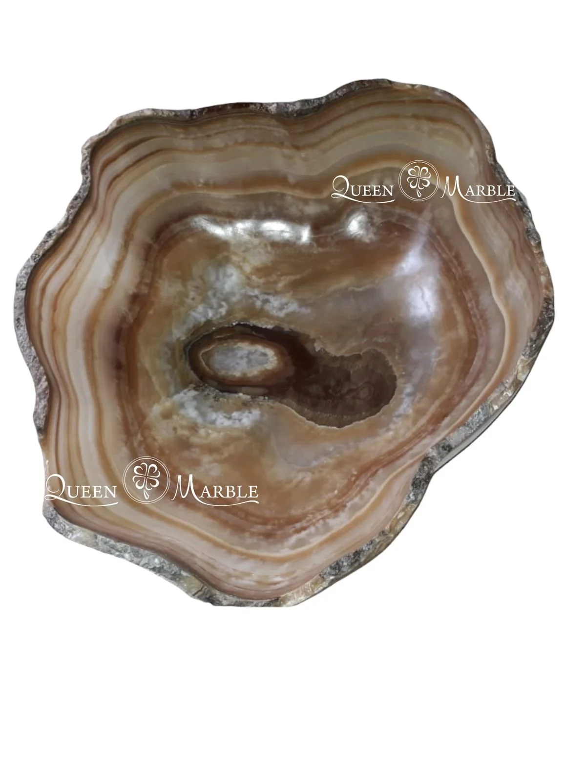 WhatsApp Image 2022-02-06 at 12.10.01 PM.jpeg