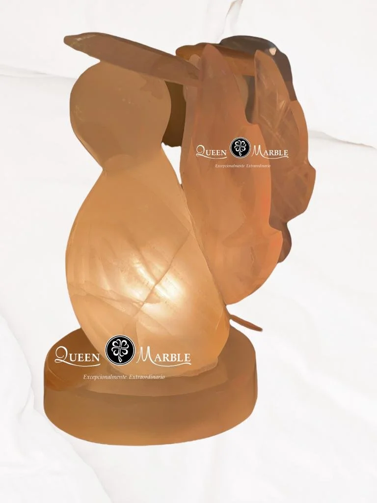 WhatsApp Image 2022-02-06 at 6.45.20 PM (2).jpeg