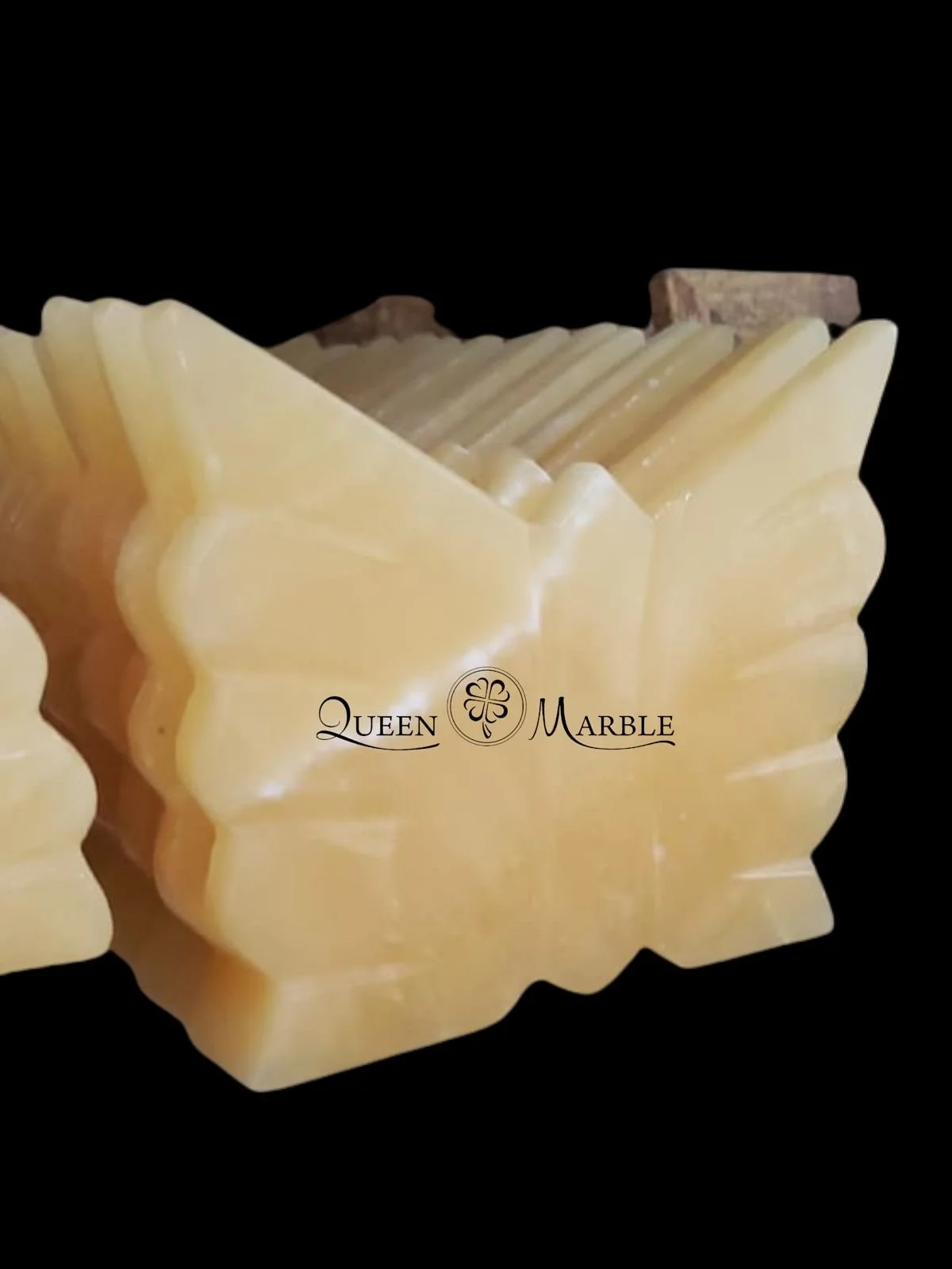 WhatsApp Image 2022-02-12 at 5.59.48 PM.jpeg