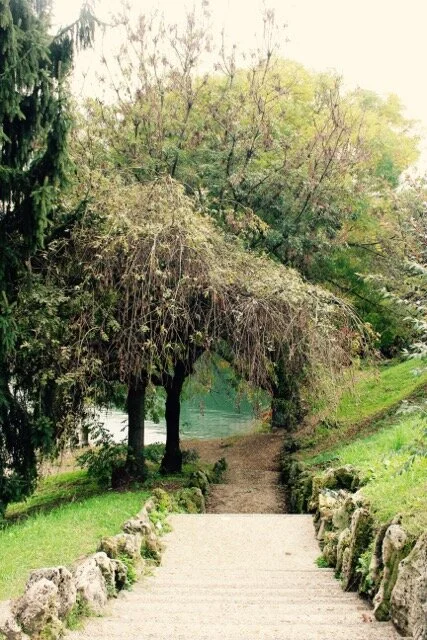 Silence: Reading the Poetry of Family Life