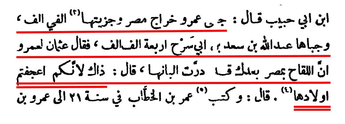 Kitâb Futûh al-Buldân d'al Balâdhurî - Page 303