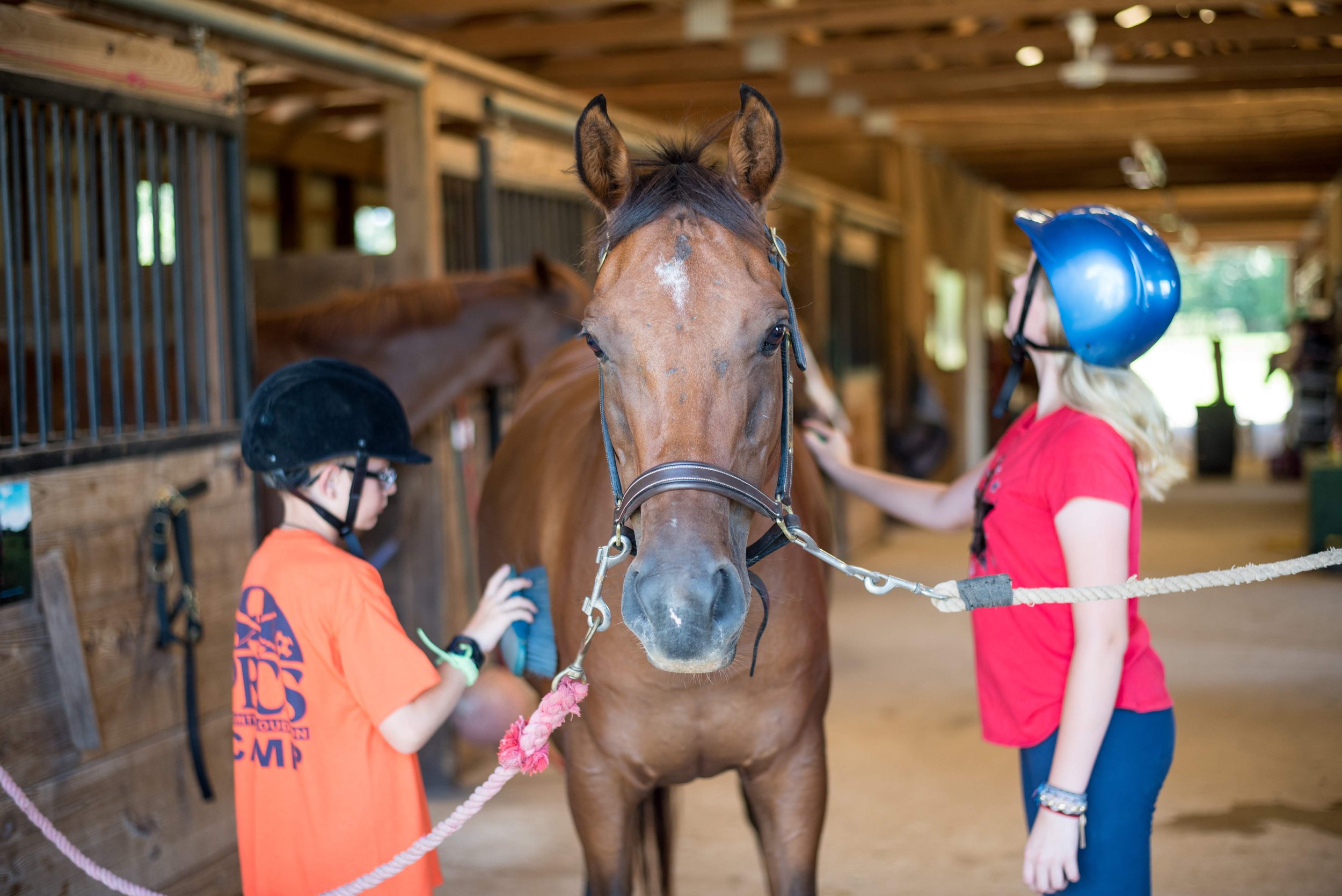Campers learning new skills through Oakland's equestrian program.