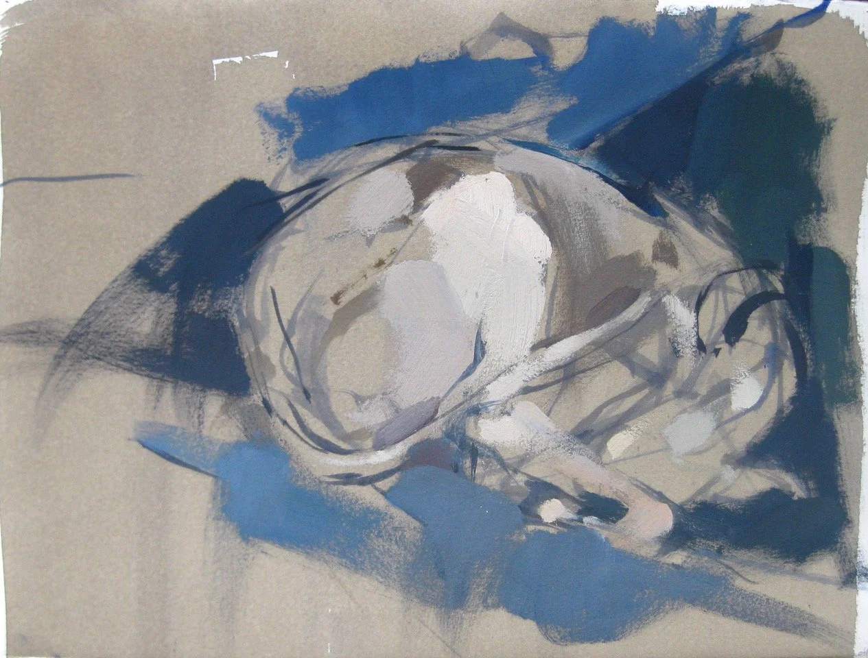 whippetC11x15 copy.jpeg