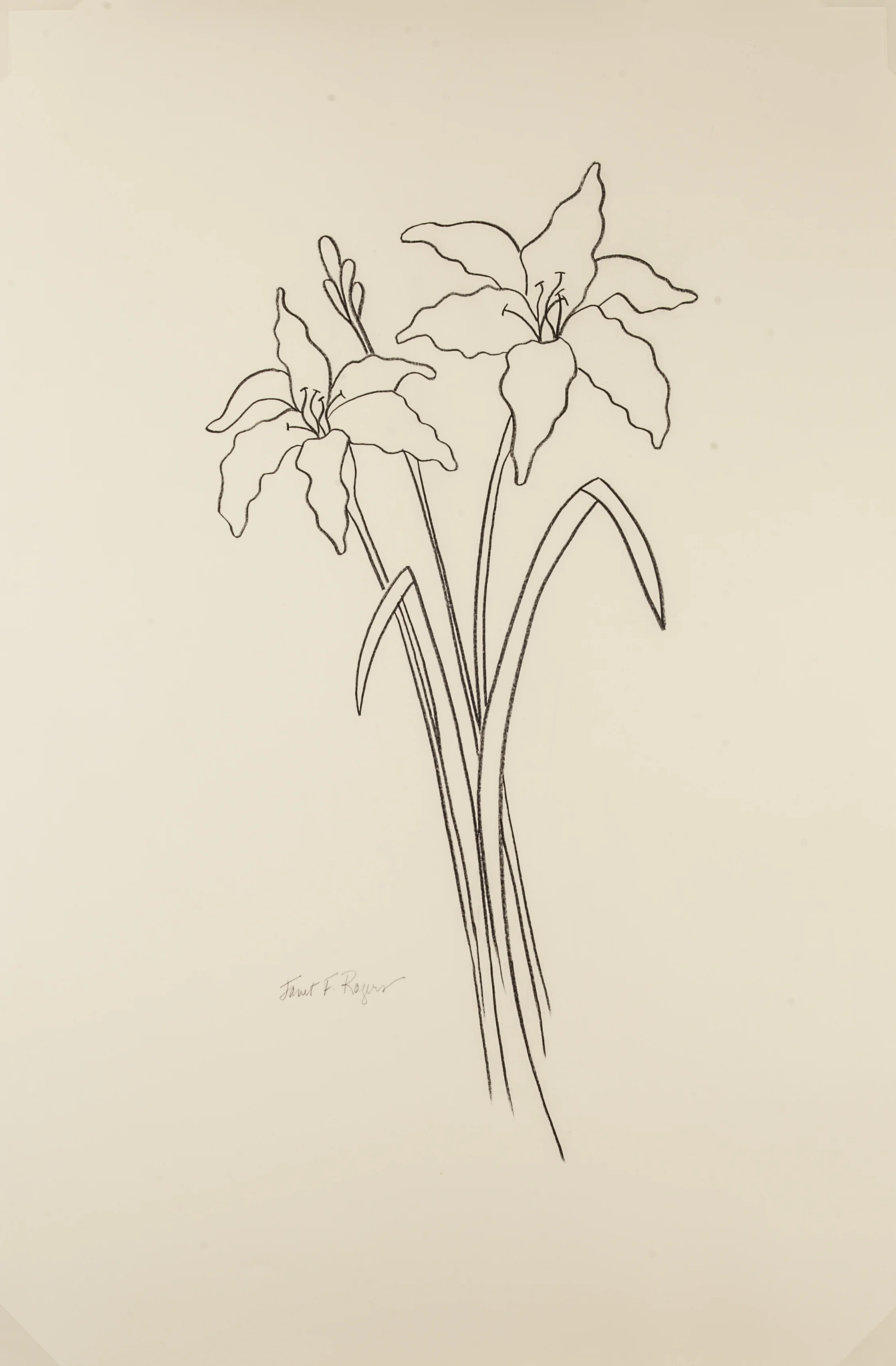 jr_daylilies_26x40art.jpg