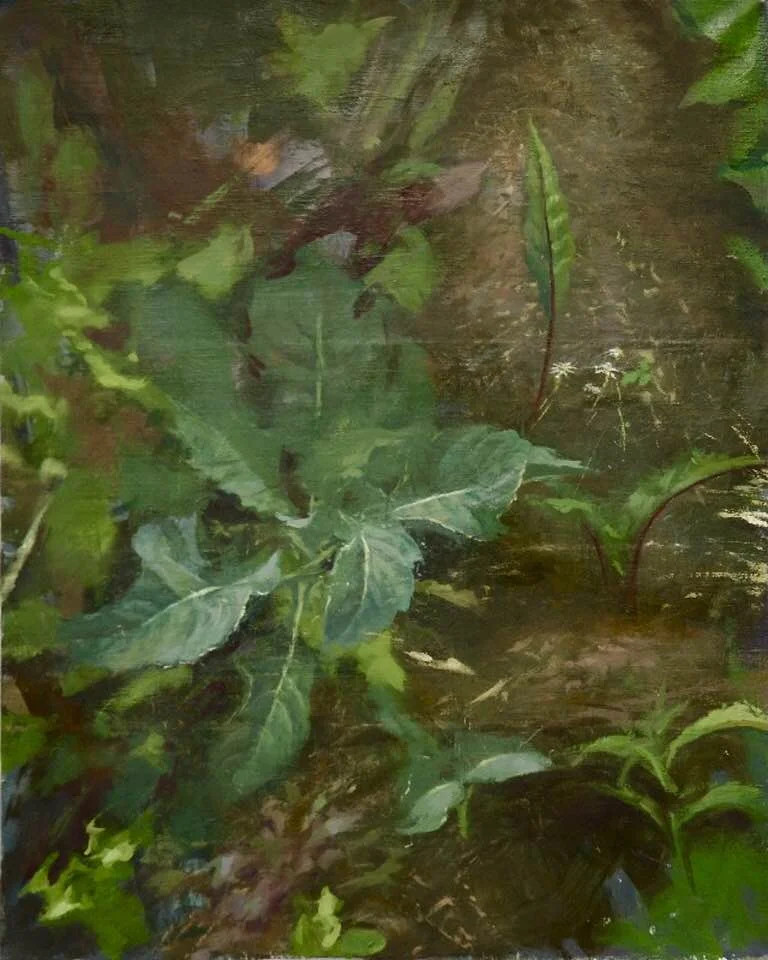 Garden from Above
