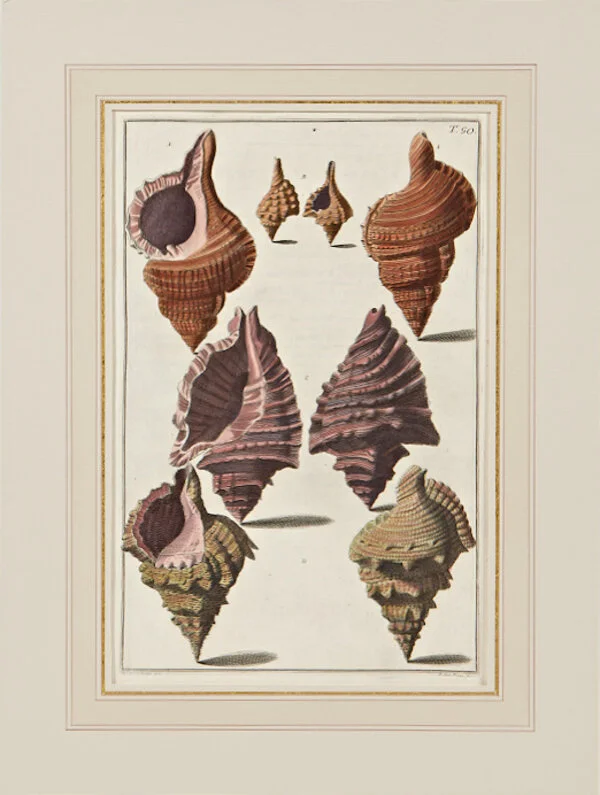 s0327-constrainedw.jpg
