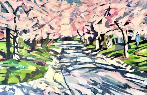 Dreaming of a Pink World (Kenwood Cherry Blossoms)