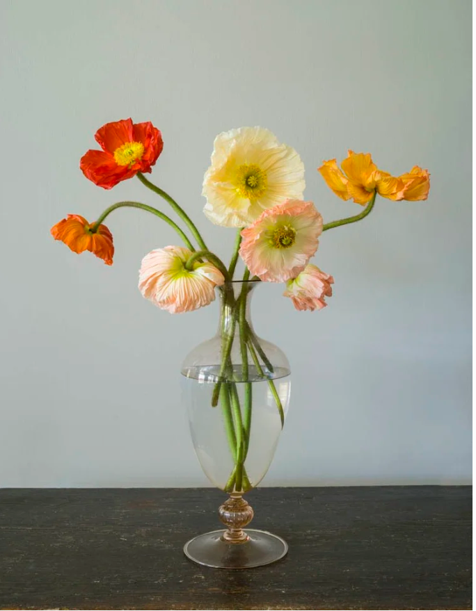    Seven Poppies in Venini  Dale Goffigon $2,500   