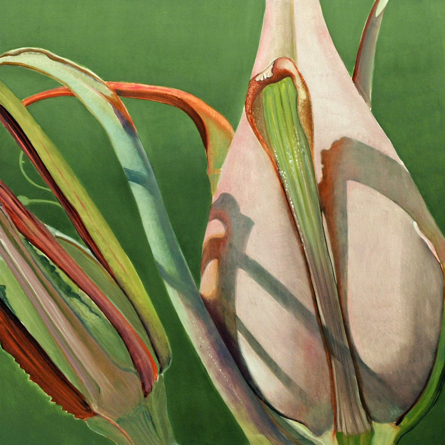   Bronze Belles Seed Pod  Judith Vivell  $9,500    