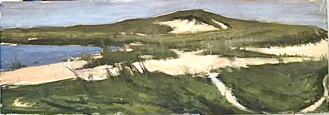 Nantucket Dunes; Miacomet Beach III_framed_36x14 inches_oil on panel.jpg