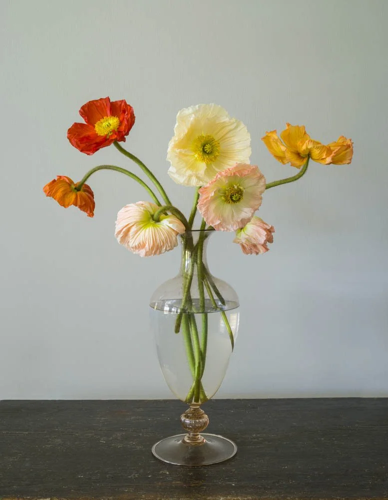 Seven Poppies in Venini.jpg