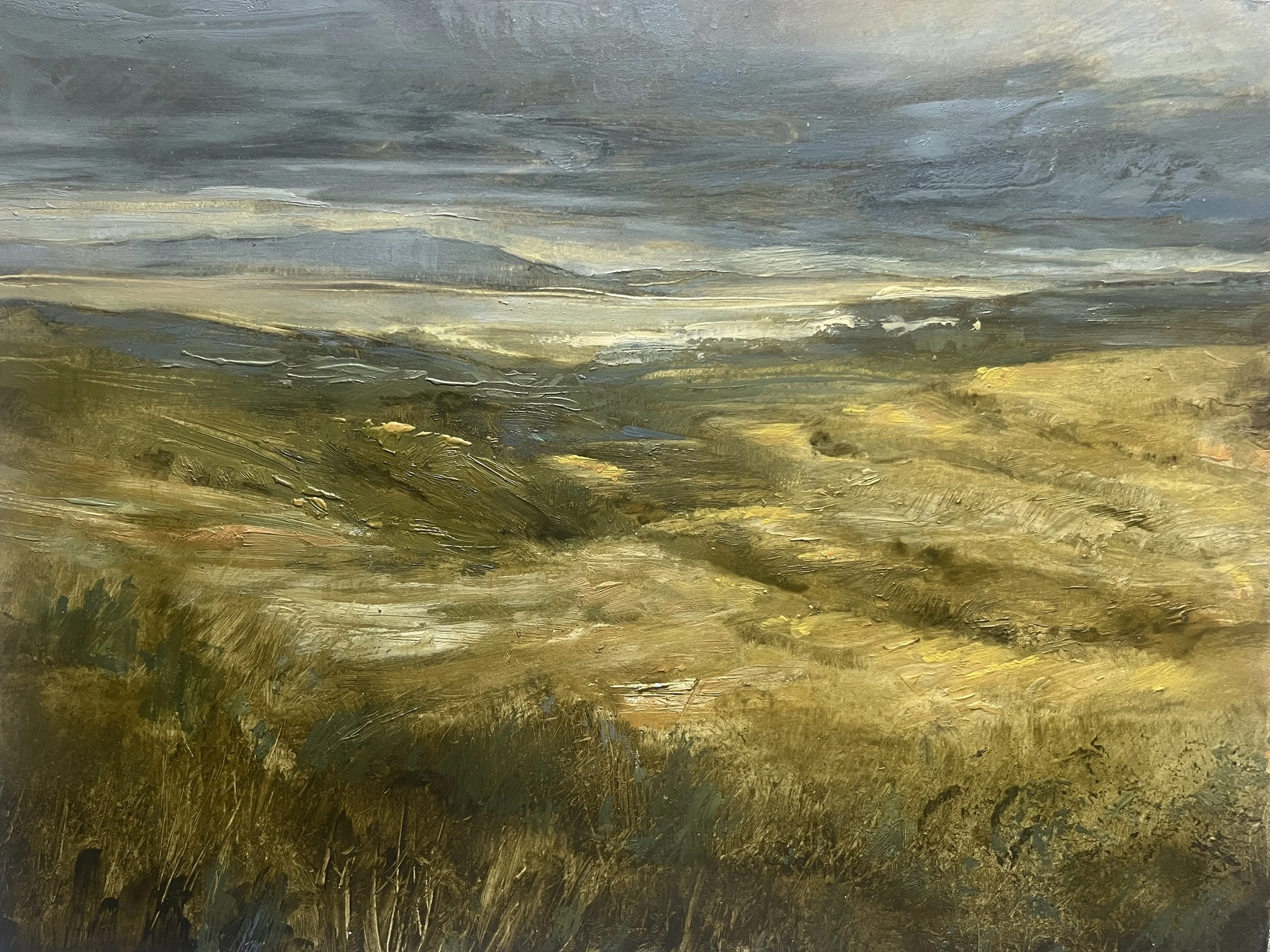 Spring 2025 9_oil on panel_12x9_.JPG