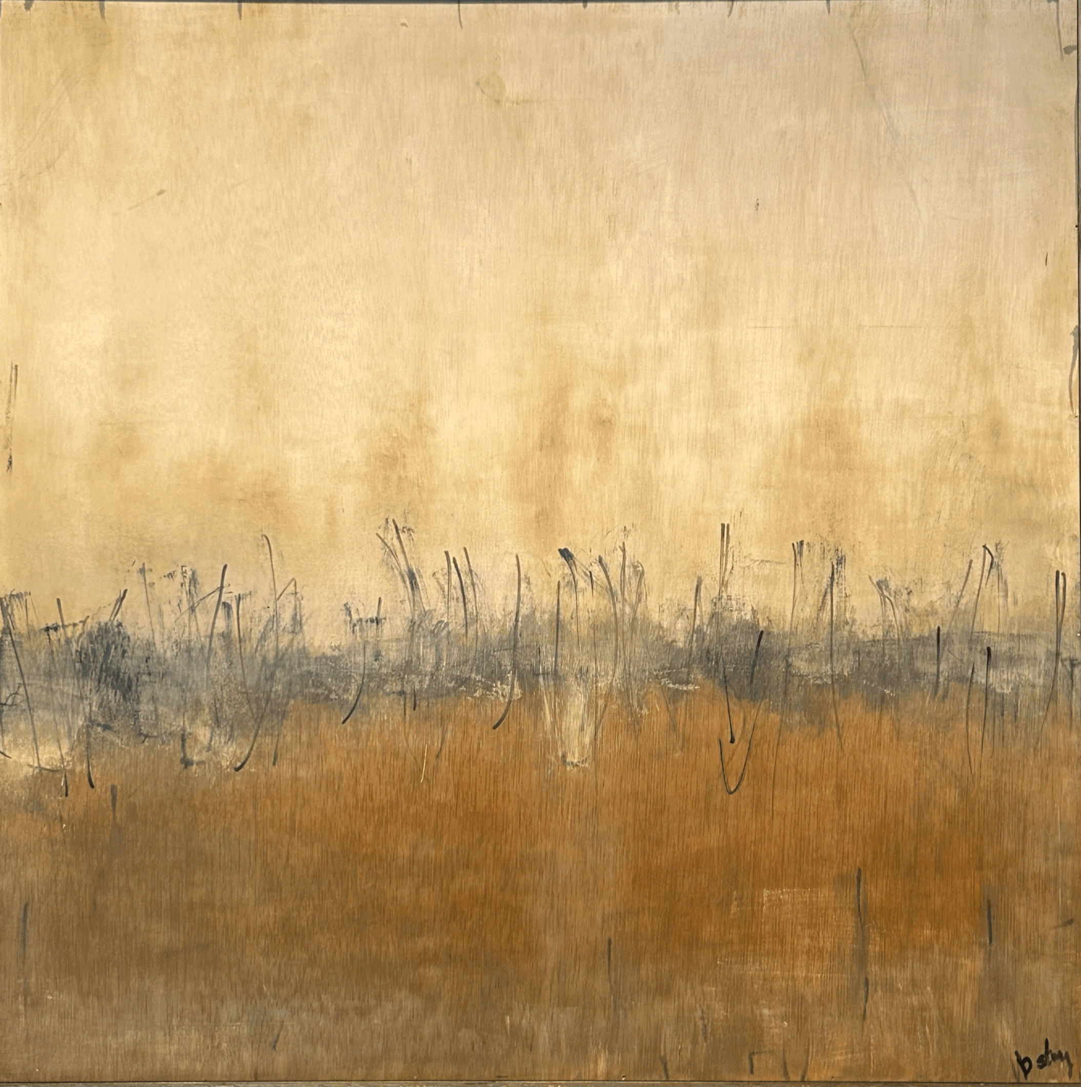 tempImagerA5ZUh.jpg (Copy)