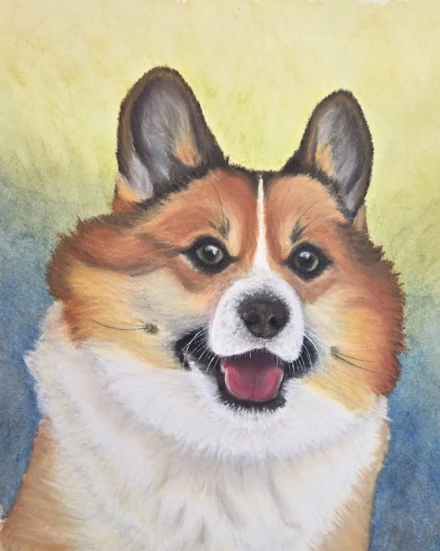 Corgi.jpg