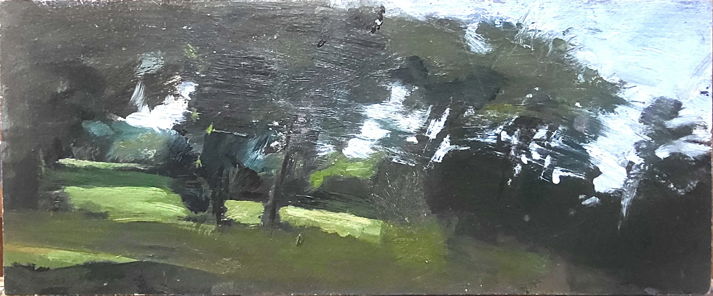 Trees, Late Afternoon_oil on panel_14 x 6 inches  (1).JPG