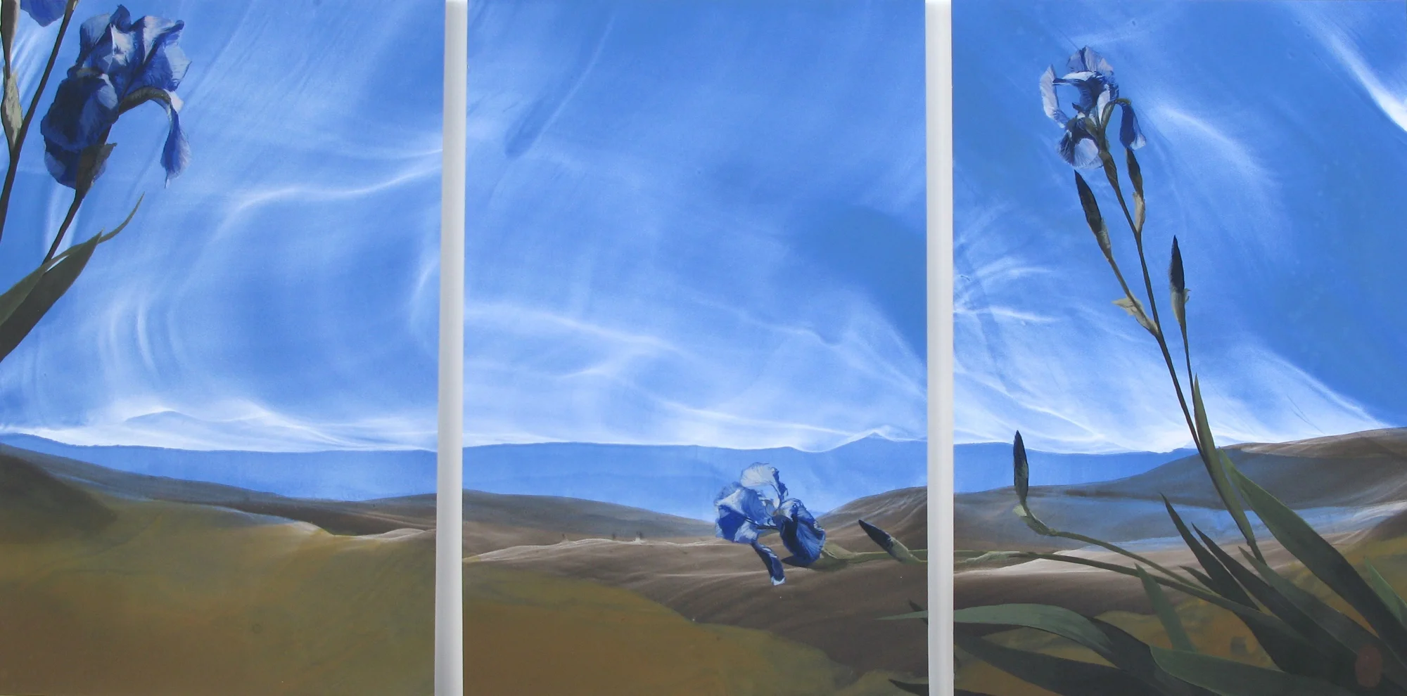 triptych - with blue irises.jpg