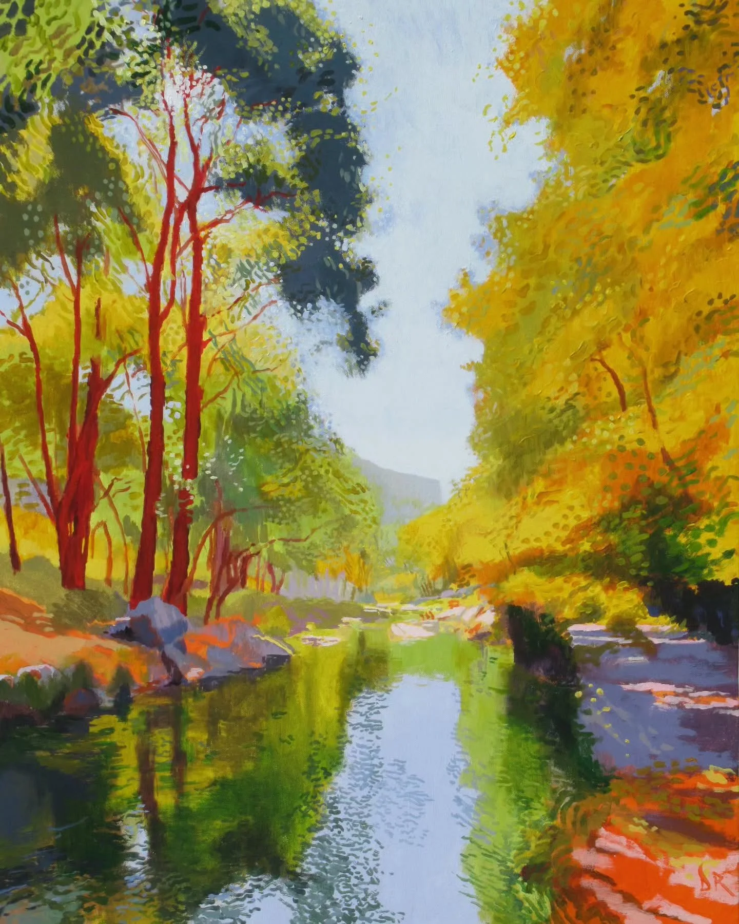 Marc Chagall: The dignity of the artist lies in his duty of keeping awake the sense of wonder in the world
.
David Rycroft acrylic on canvas 72 x 92cm
.
#chagall #landscapepainting #dignity #wonder 
#river #southoffrance #pristinenature #reflection