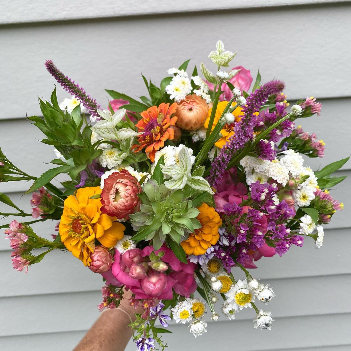 Mixed bouquets being put together this morning, Sunday July 11th, for The Flower Cart, first house on left Sleepy Hollow Road North Stonington, CT and for @denison_farmers_market 12-3 120 Pequotsepos Road Mystic, CT. #farmflowers 
.
.
#bouquet #bouqu