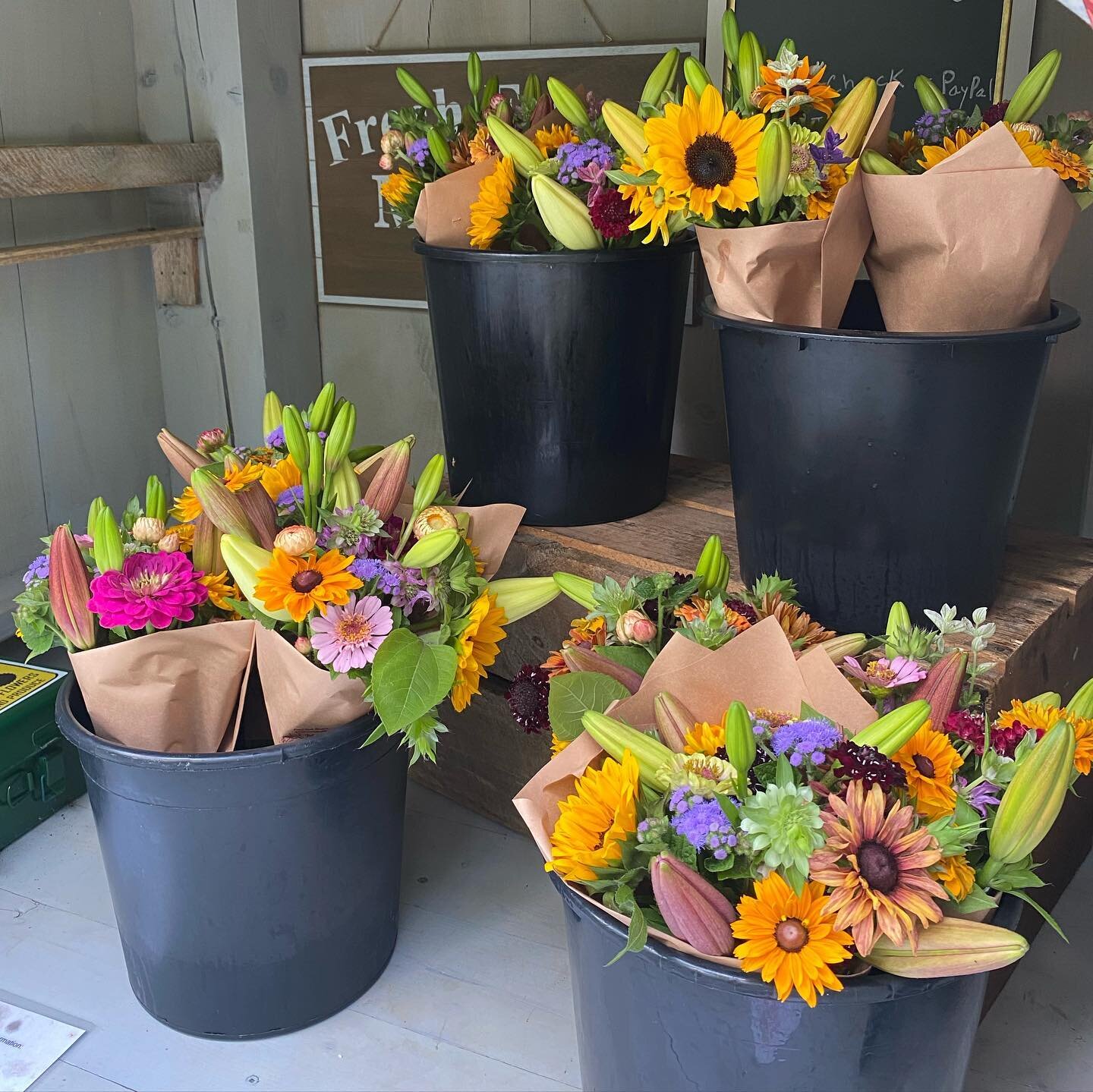 The Flower Cart is OPEN today, Saturday the 17th till 4:00 or sold out, and same hours tomorrow Sunday the 18th, Sleepy Hollow Road North Stonington, CT first house on left. If you see the sign at the top of the road we still have flowers. If you hav