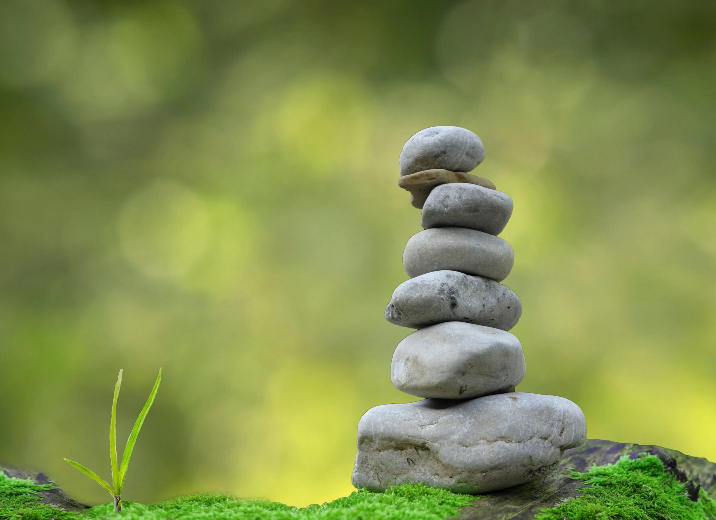 Stress Management During Cancer Diagnosis and Treatment