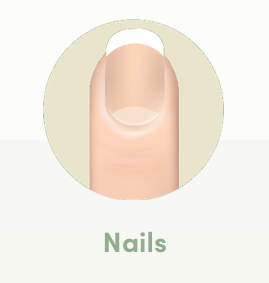 nails.png
