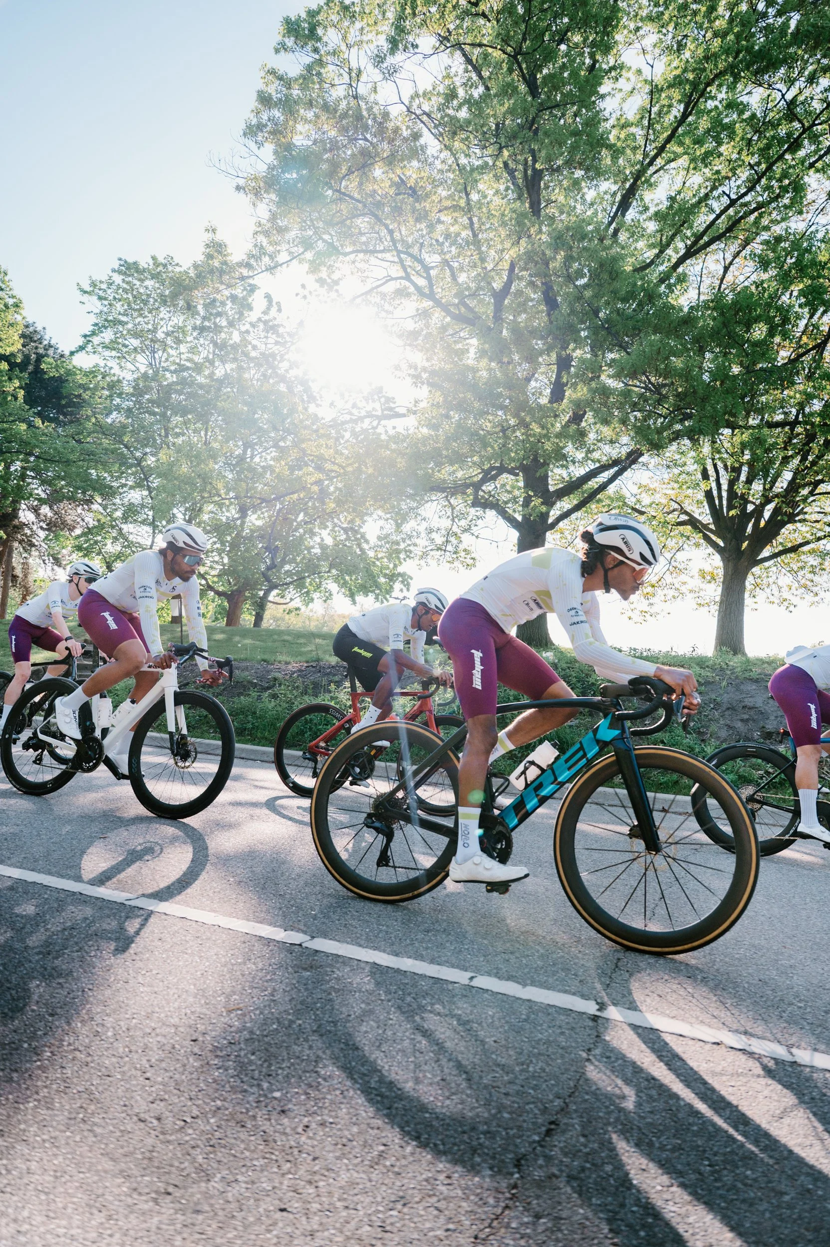 Commercial photography of a full road cycling team riding quickly downhill together through High Park in Toronto