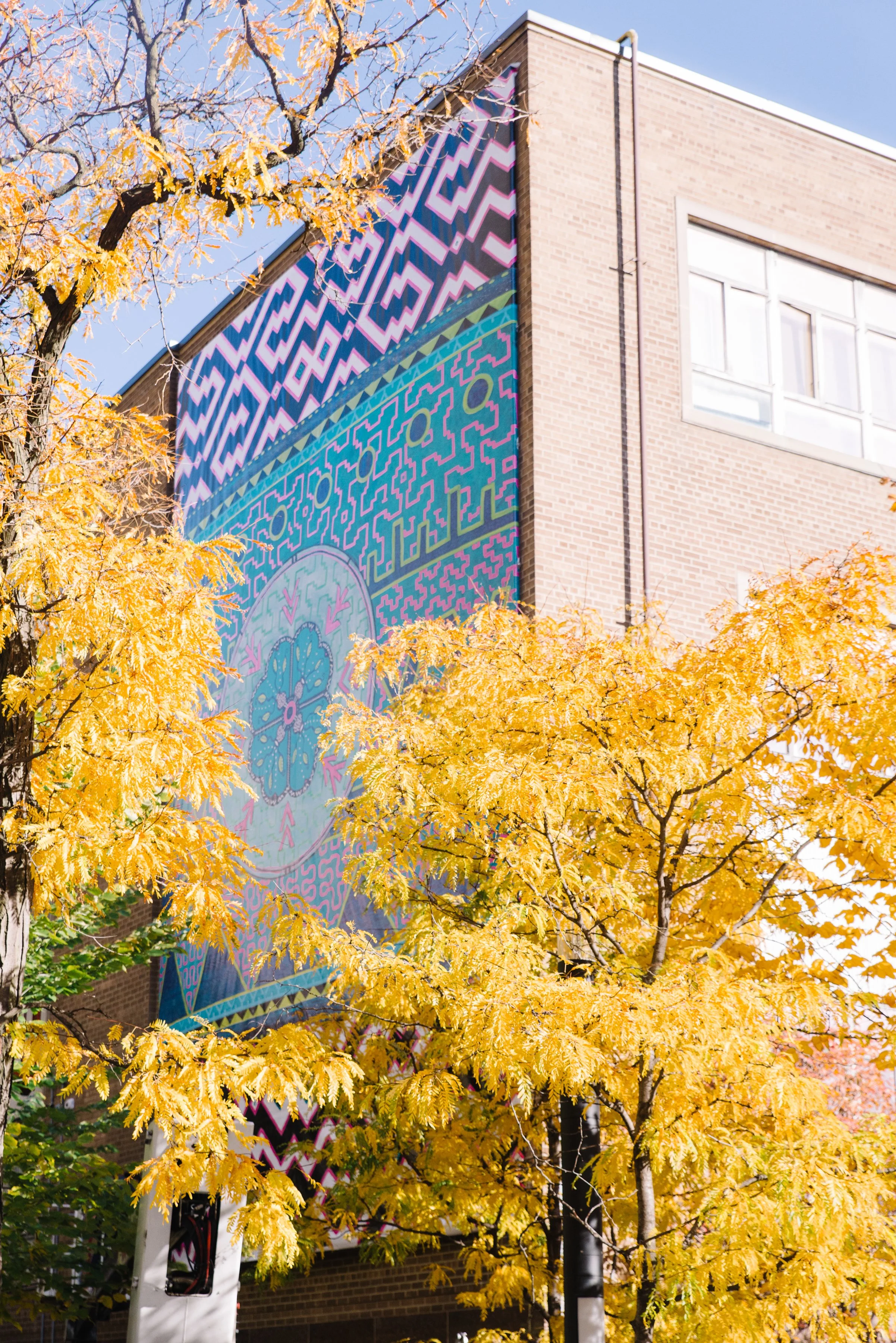 The completed Paisajes de Nosotros mural on the west facing wall of Kerr Hall West at Toronto Metropolitan University, framed by fall trees in the foreground