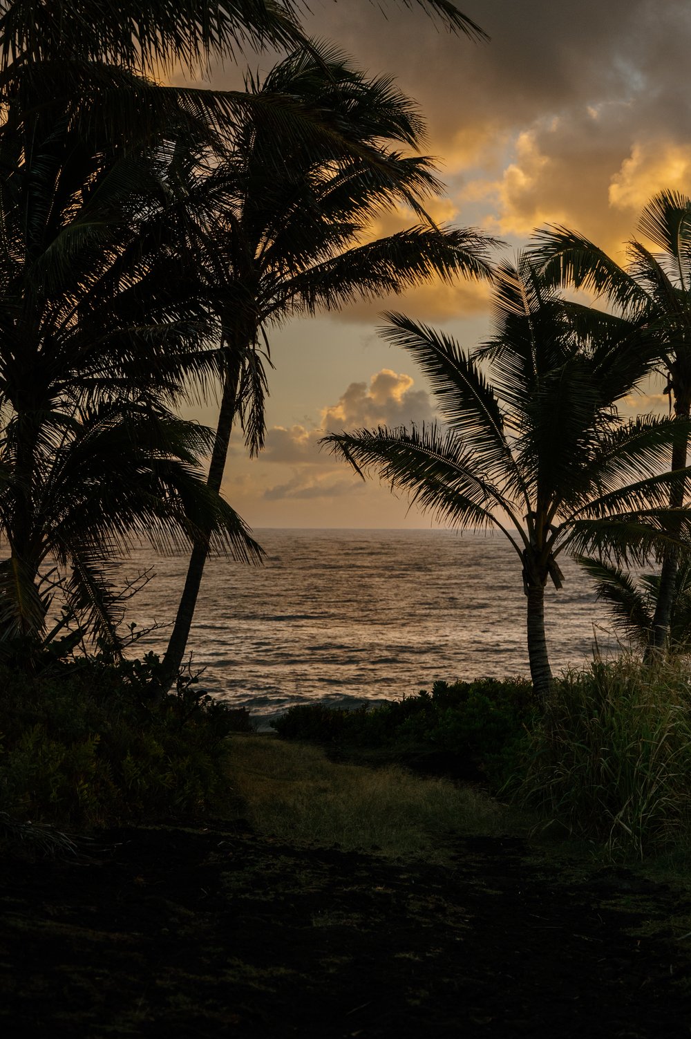 StefEthan-Hawaii-Landsacpe-Mauna-Kea-Volcano-Waipio-Black-Sand-Beach-Photography-Travel-19.jpg