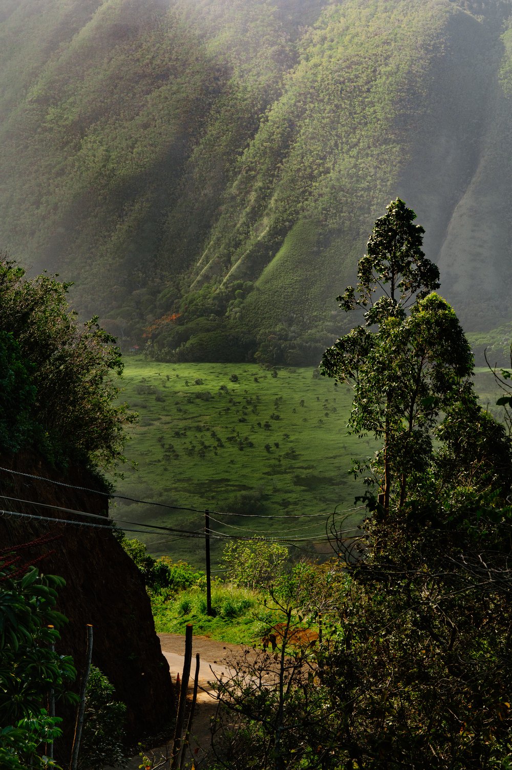 StefEthan-Hawaii-Landsacpe-Mauna-Kea-Volcano-Waipio-Black-Sand-Beach-Photography-Travel-29.jpg