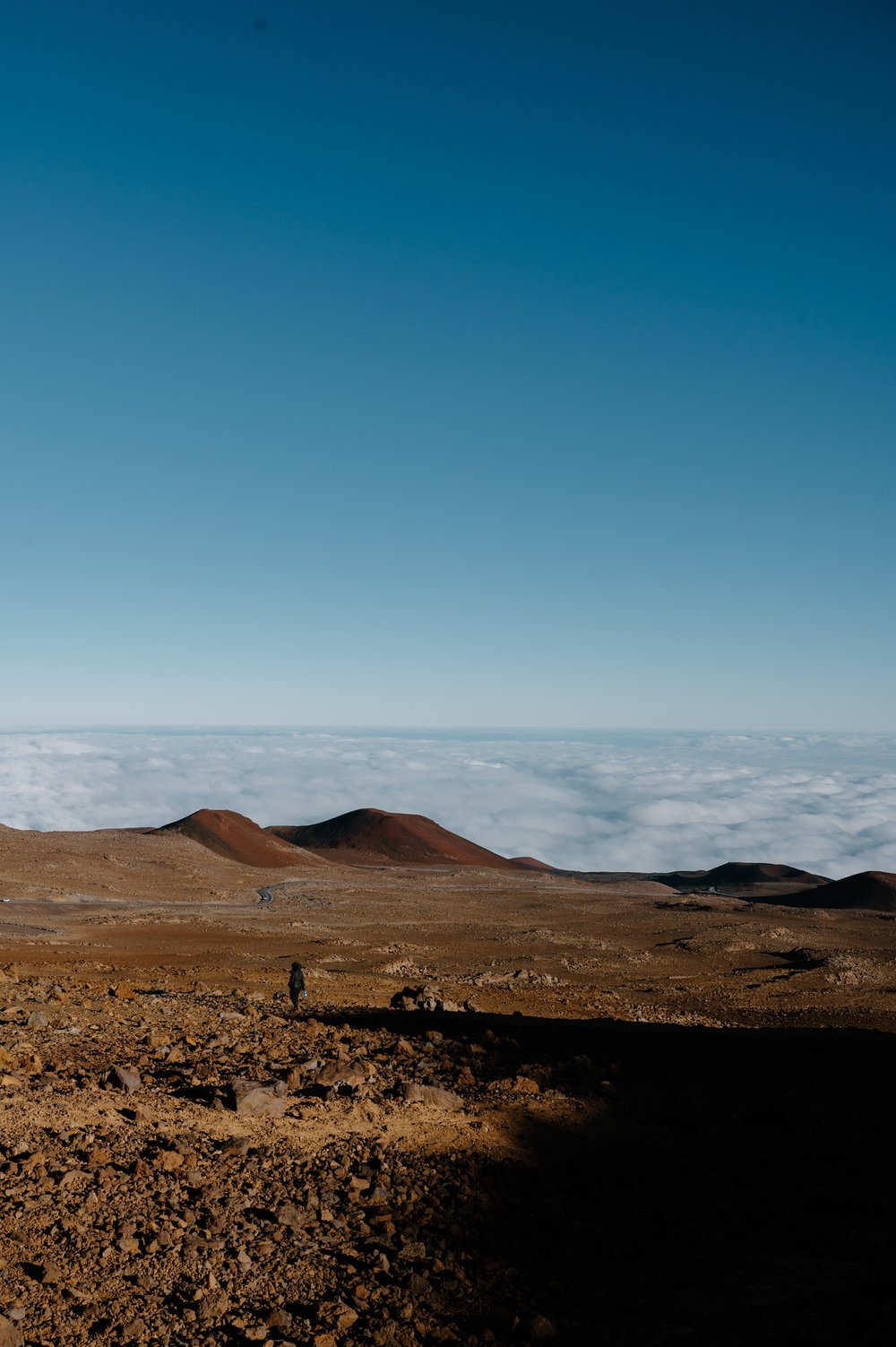 StefEthan-Hawaii-Landsacpe-Mauna-Kea-Volcano-Waipio-Black-Sand-Beach-Photography-Travel-43.jpg