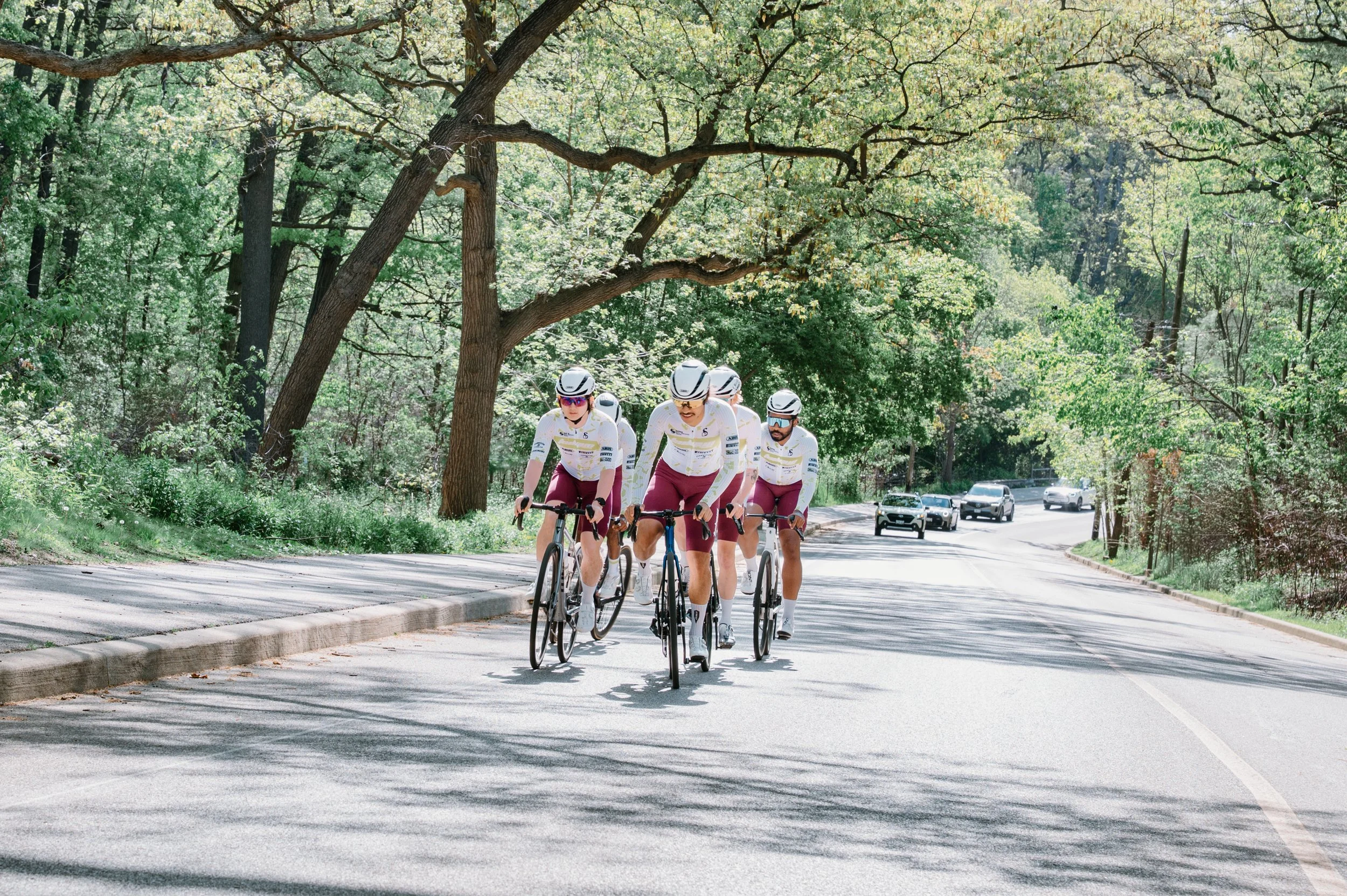 Road cycling team riding in formation up a steep hill at High Park Toronto, with cars visible in the distance on the same road