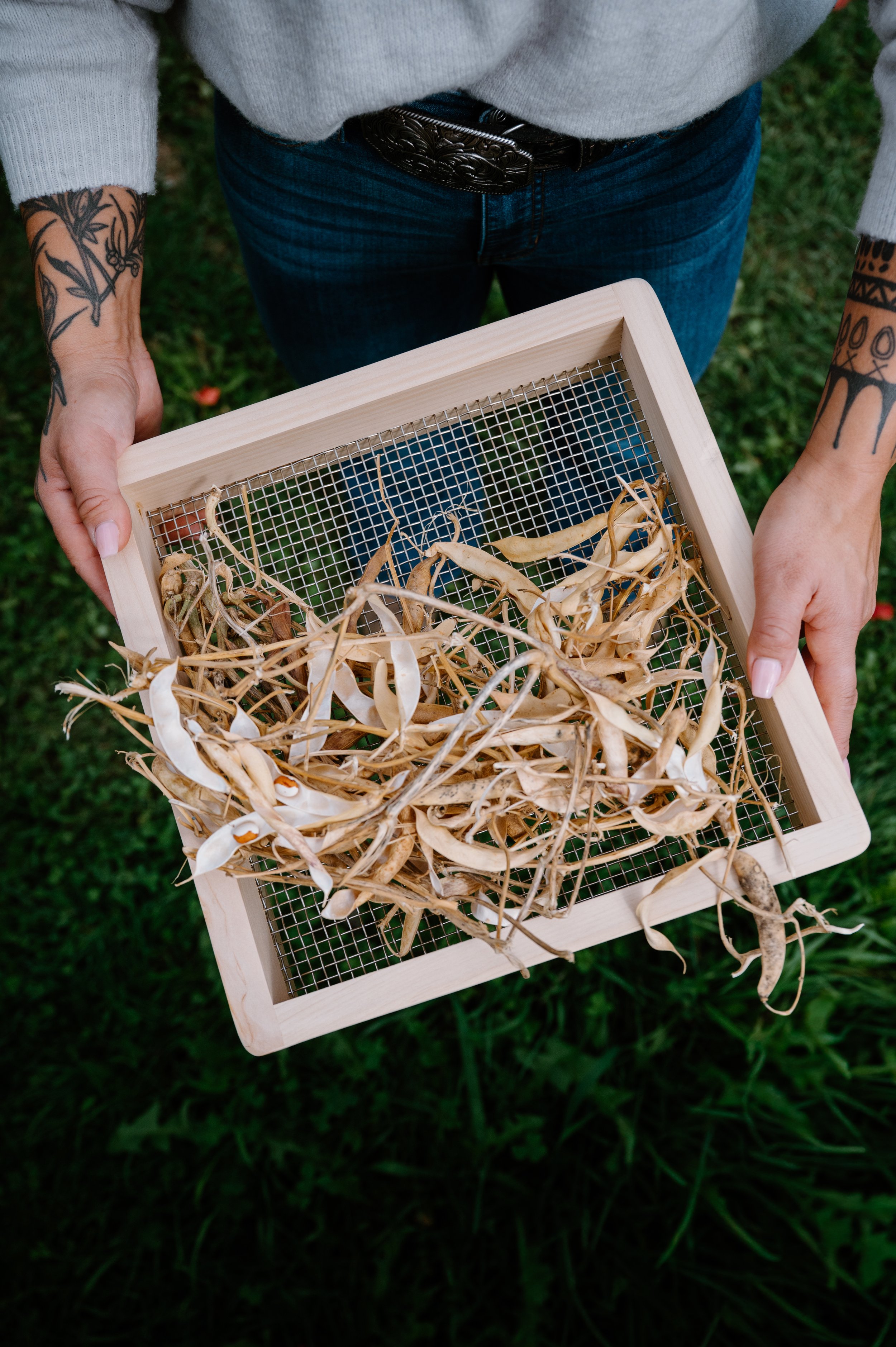 Dried seed husks styled with natural materials, focusing on stewardship and land.