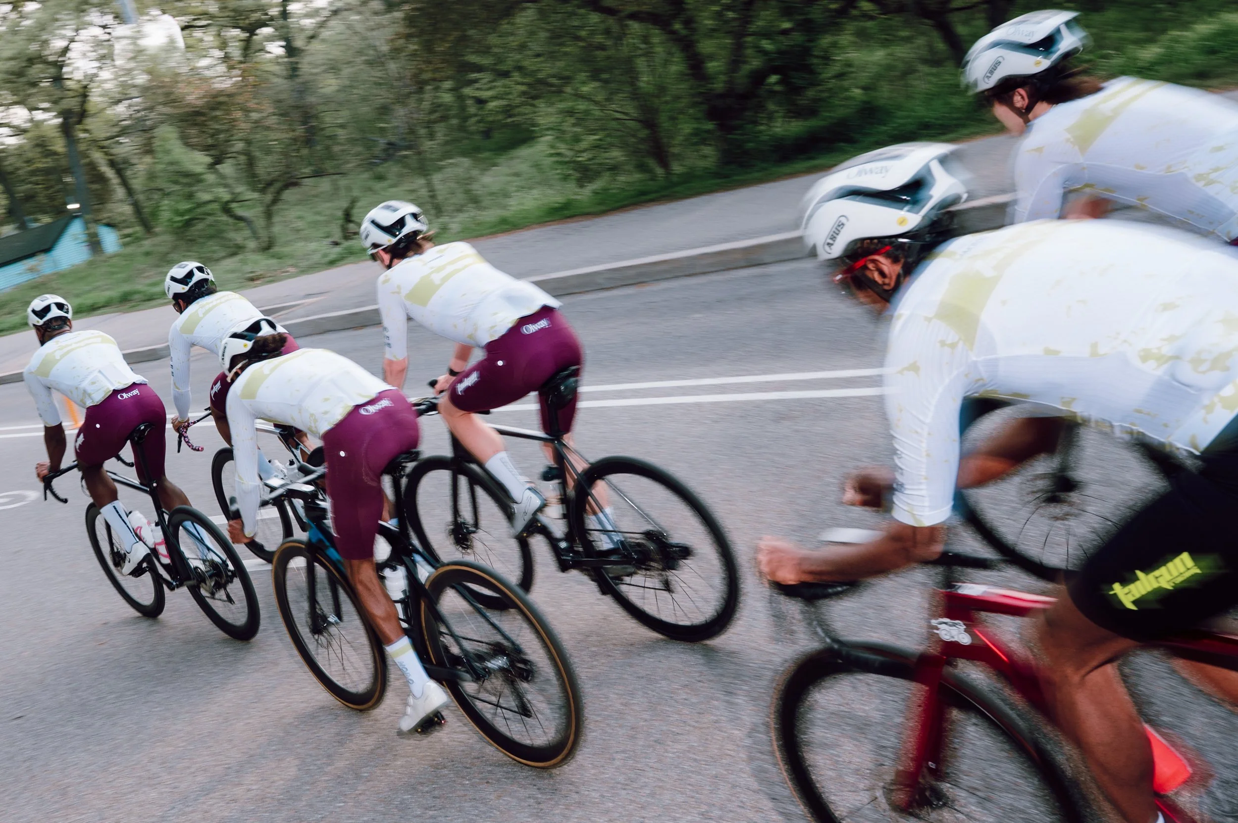 Road cycling team riding together through High Park in Toronto, photographed from behind
