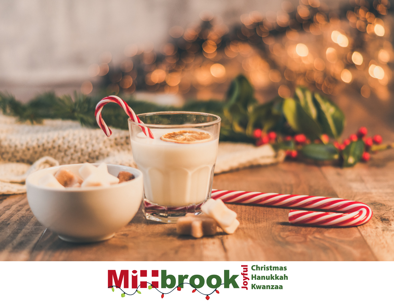 Tis’ The Season A Time for Celebration — Millbrook Support