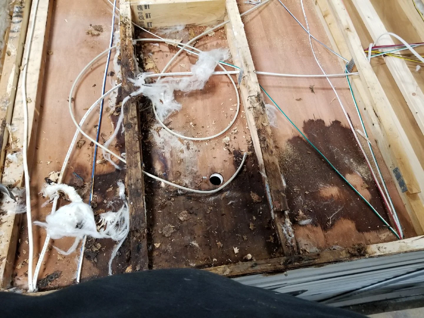 roof before.jpeg