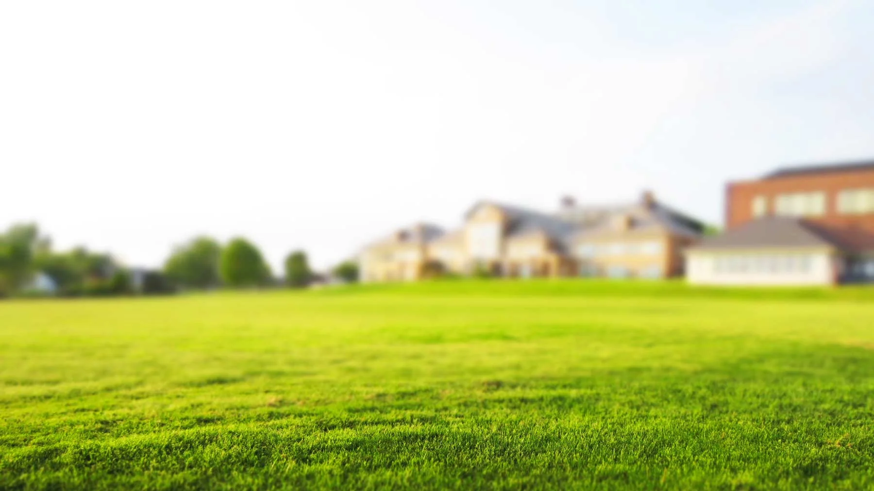 Contact — Young Bucks Landscaping, LLC