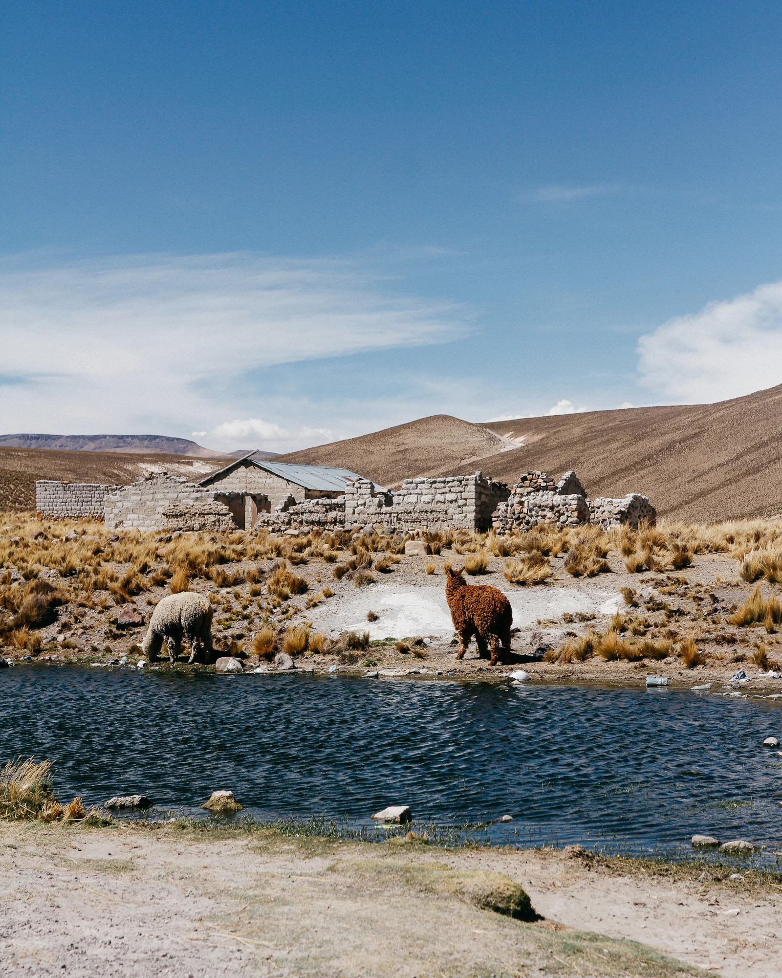 Arequipa_11.jpg