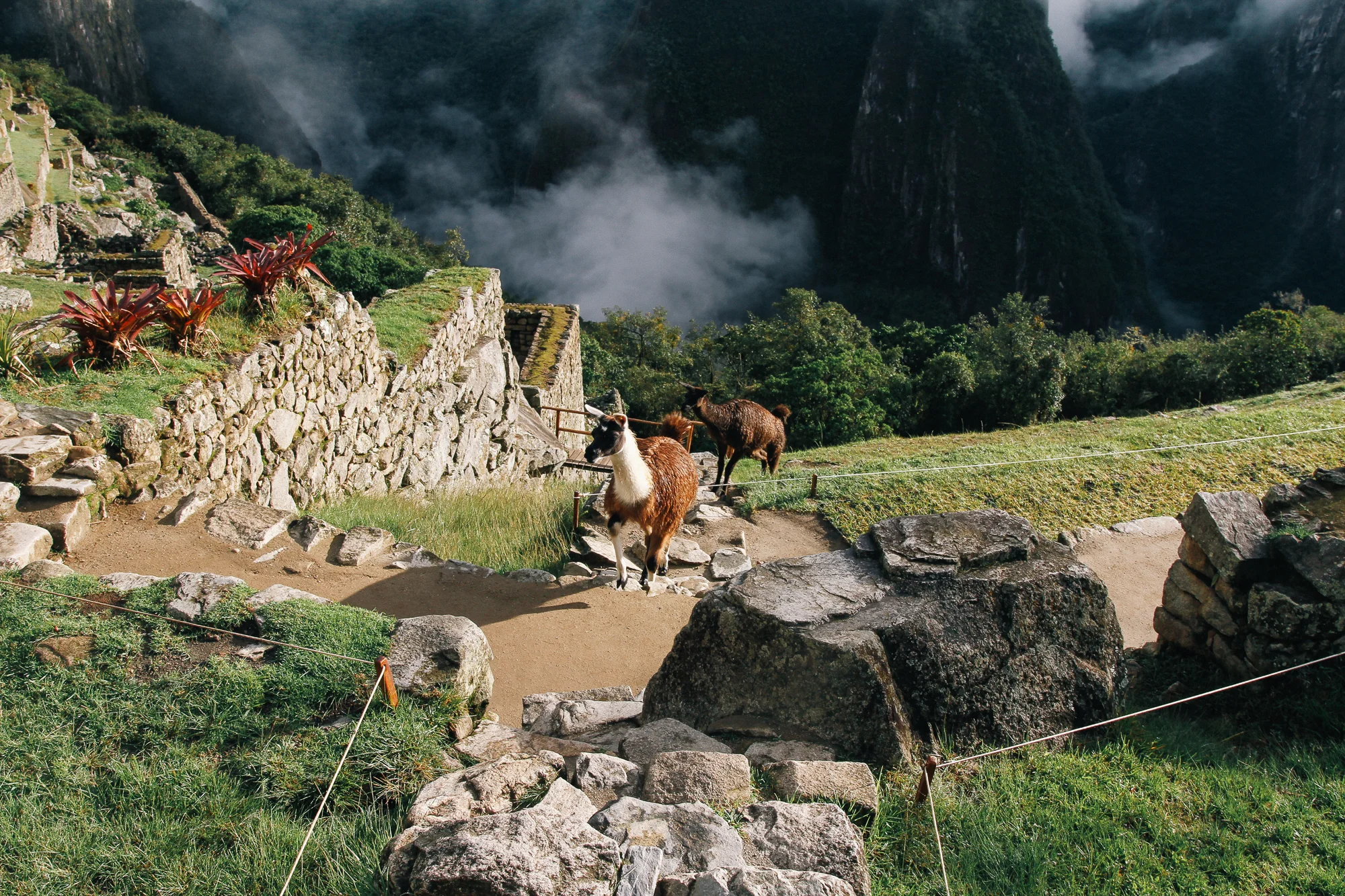 Machu_Picchu_8.jpg