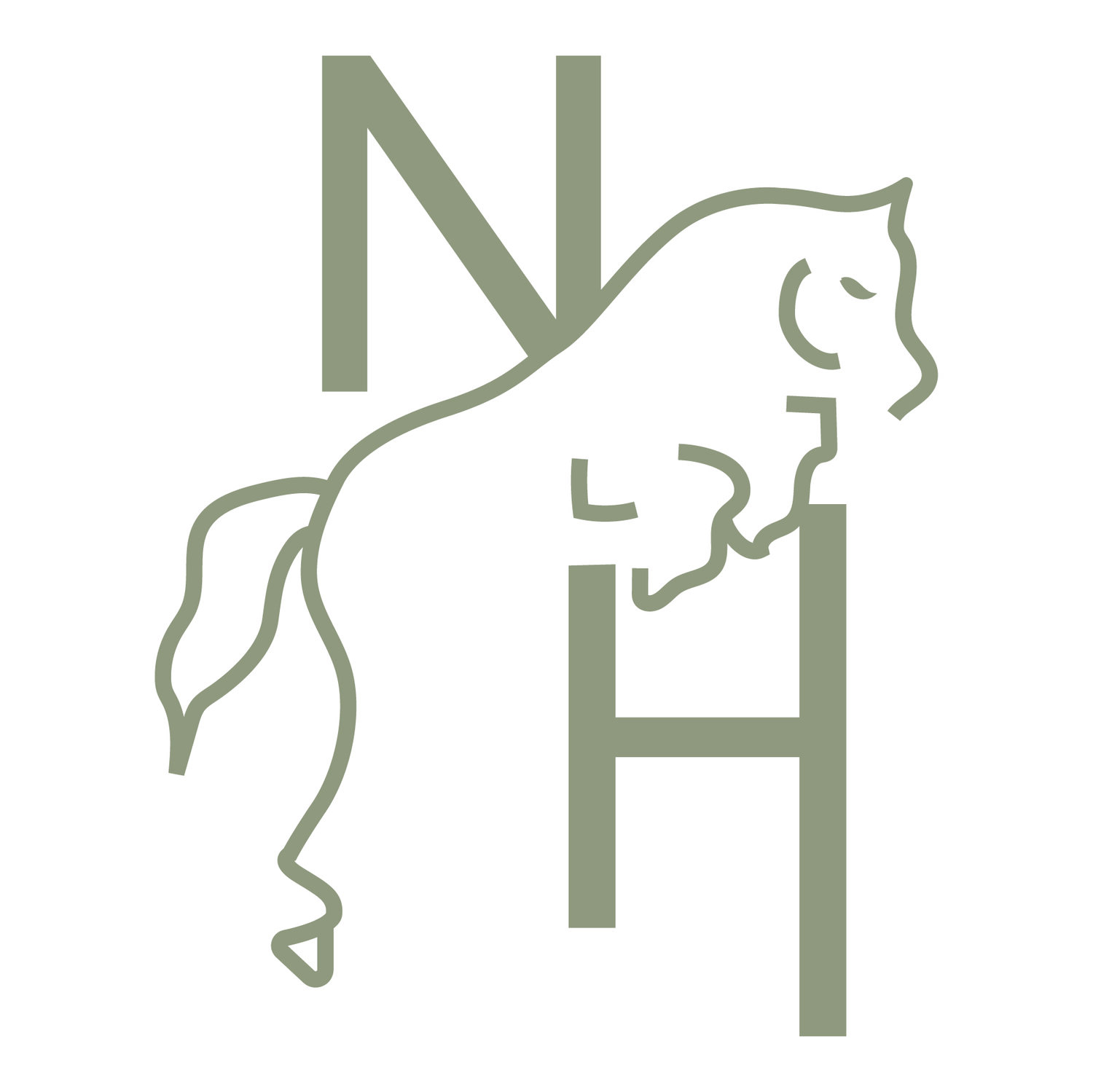 New Heights Equestrian
