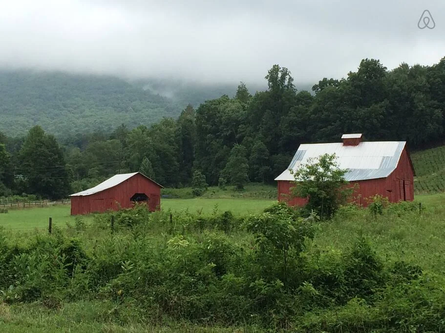 Picture 36 Red Barns.jpg