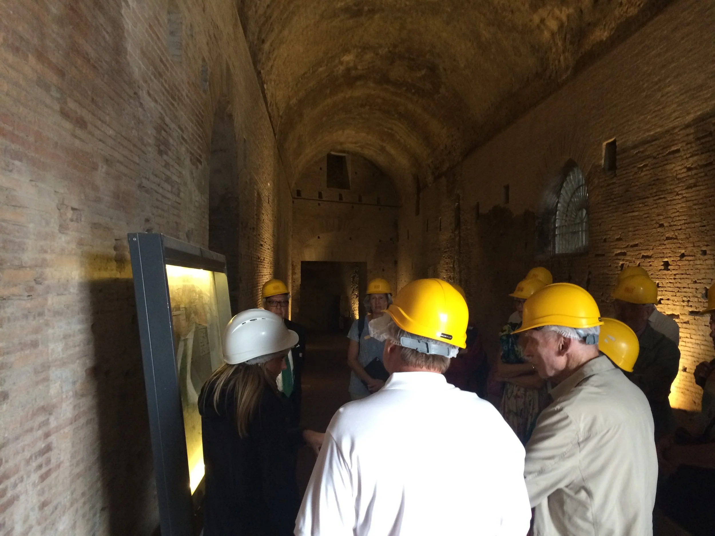 domusaurea_hats.jpg
