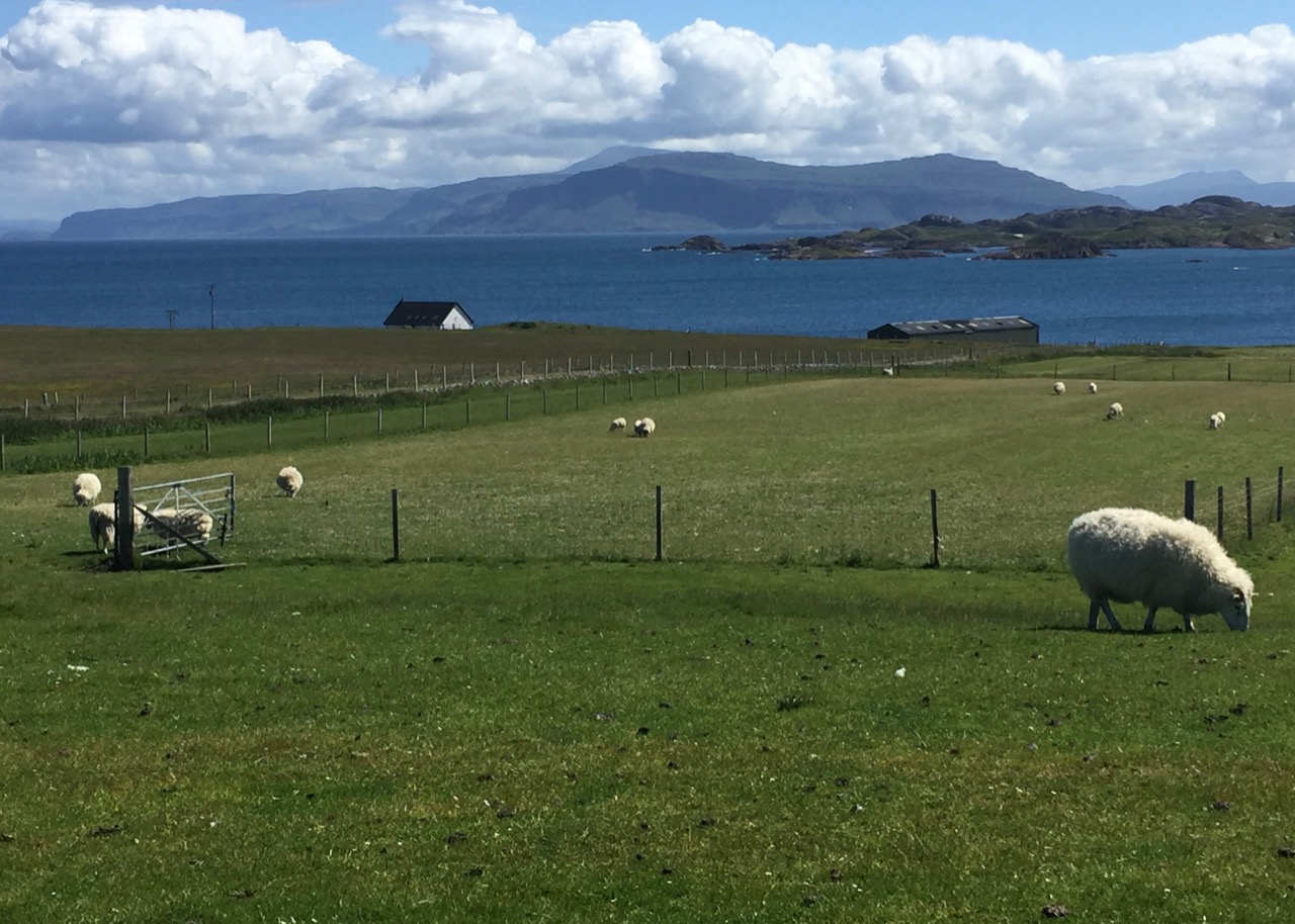 iona-rec - 4.jpg