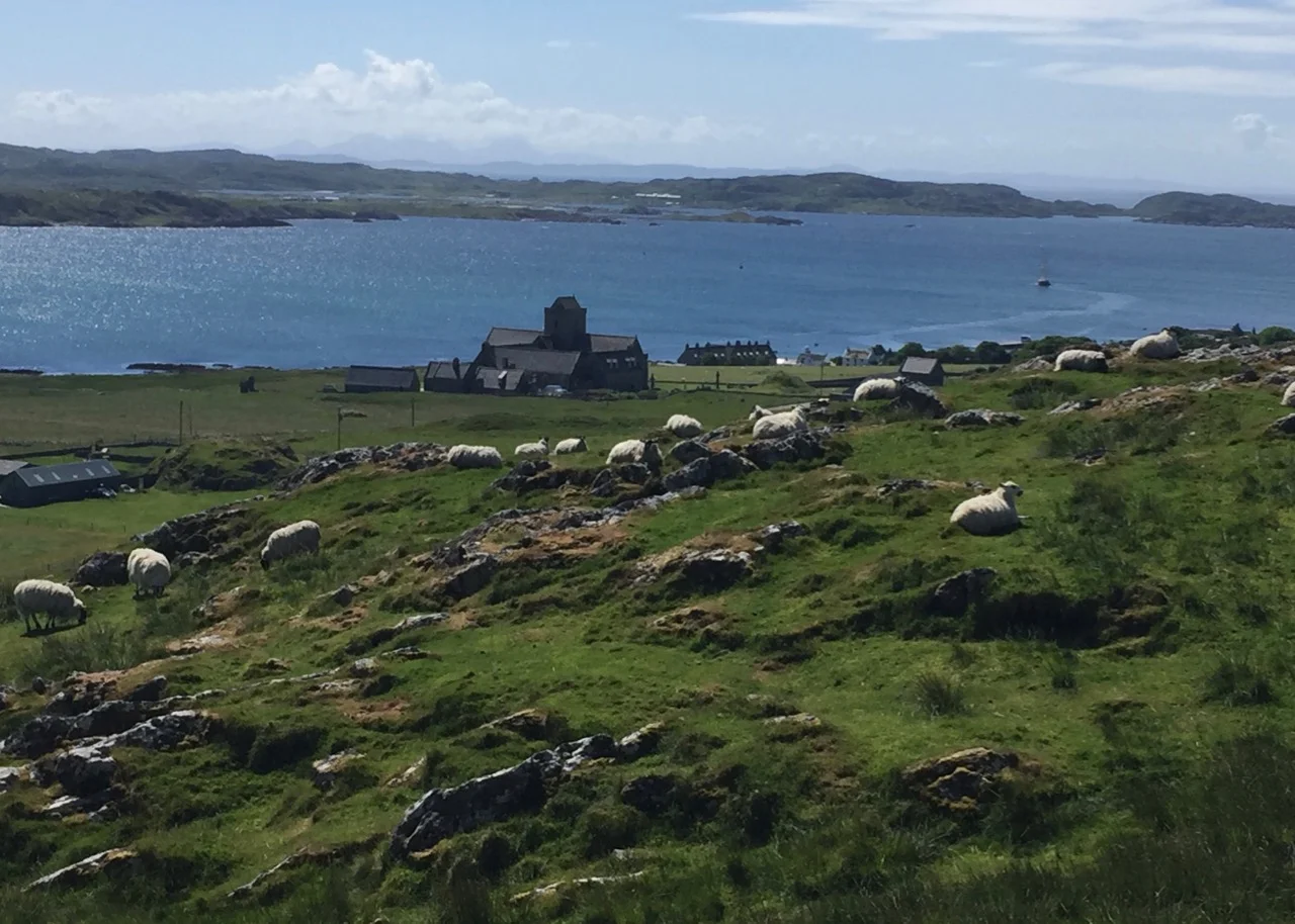 iona-rec - 5.jpg