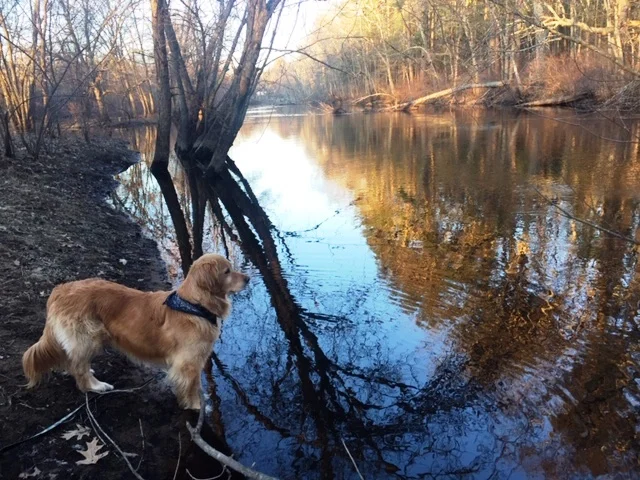 Assabet River, Concord, Massachusetts