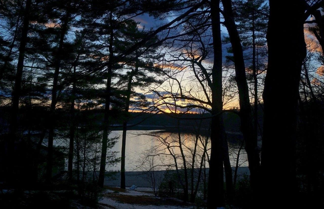 Walden Pond, Concord, Mass. (photo by Rich Higgins)
