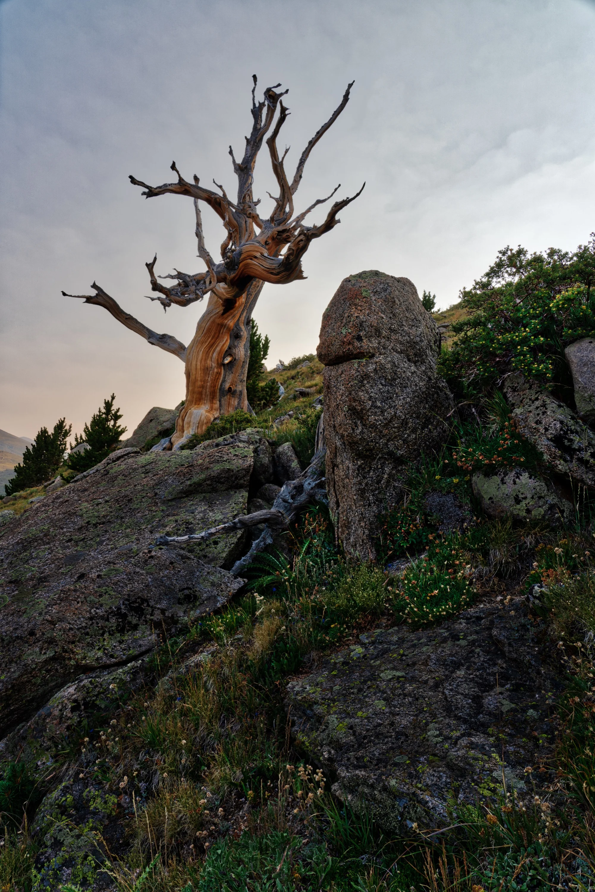 107_DSC5563-HDR_Edited_Final.jpg