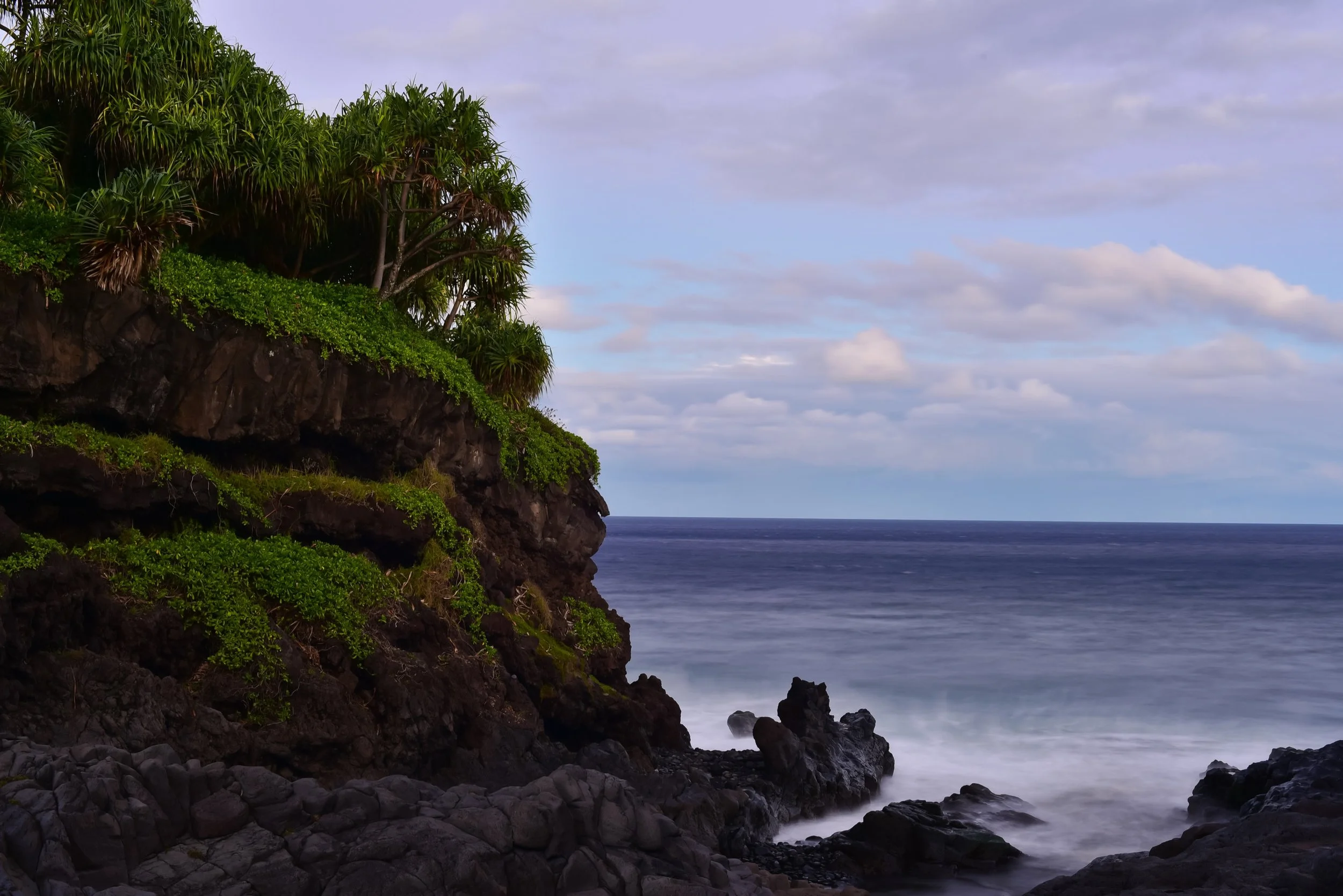 120_Hawaii - 20161214-DSC_7931-.jpg